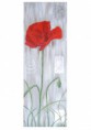 /album/les-coquelicots/coquelicot-rouge-jpg/